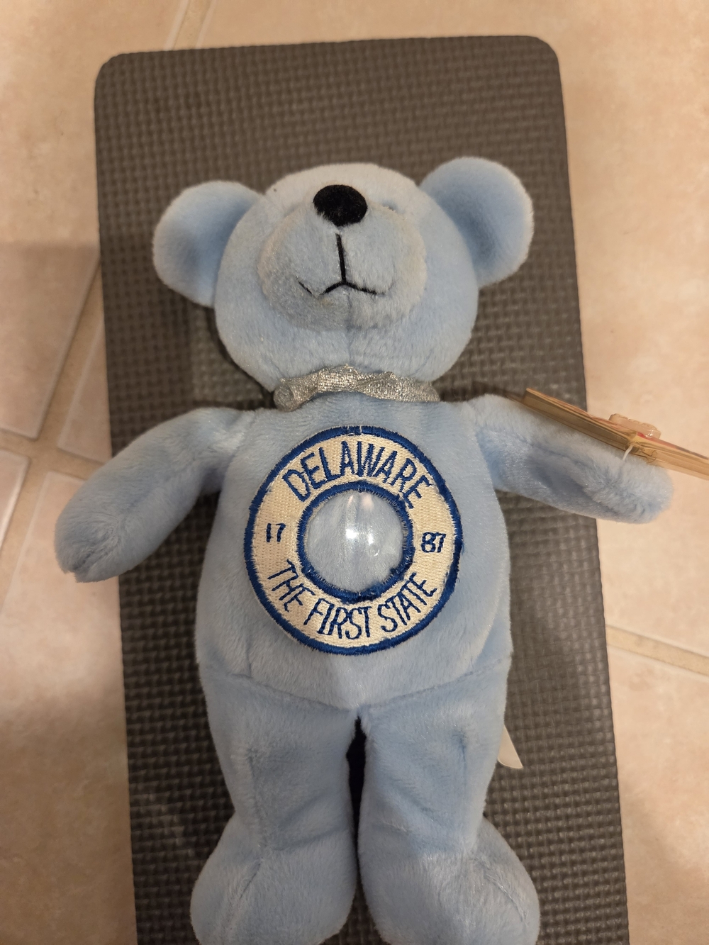 Kids Light Blue Plush Bear Bottoms - Delaware The First State